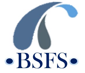 Bradley Smith Financial Services logo