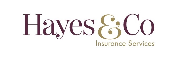 https://resources.adviserratings.com.au/practices/hayes-and-co-insurance-pty-ltd-18013007.jpg logo